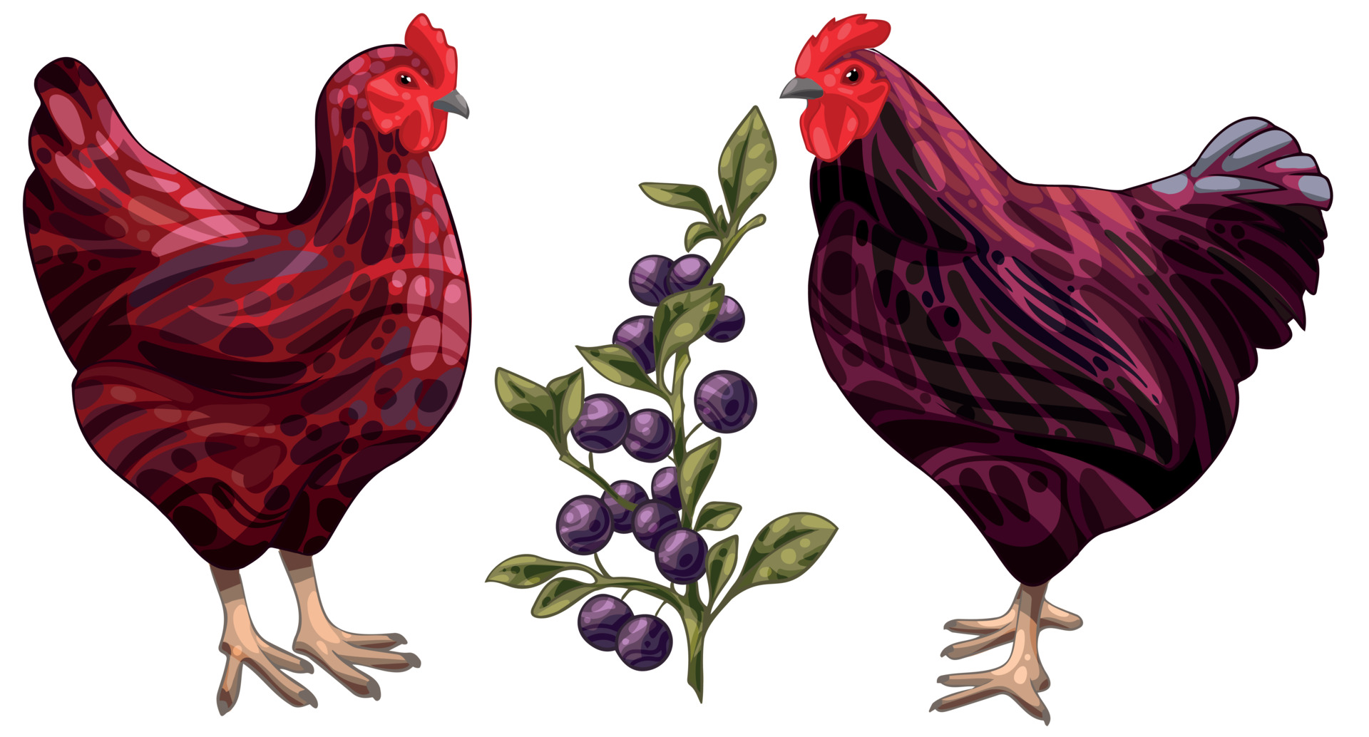 Grapes and Chickens A Comprehensive Guide to Safe Feeding